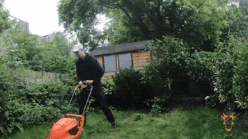 Grass Lawn GIF by The Goat Agency