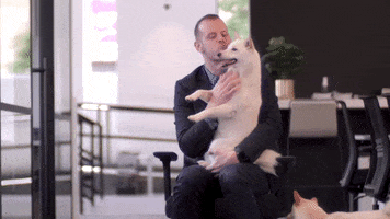 The Bianca Colasuonno team GIF