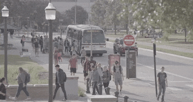 200.gif?cid=fc005b086486c361b0363528c40c277b701cc7f3cb42b530&rid=200.gif&ct=g