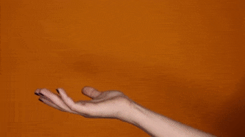 200.gif?cid=fc005b08ee259c0b1d82a2739a3a6dd67969212299967f14&rid=200.gif&ct=g