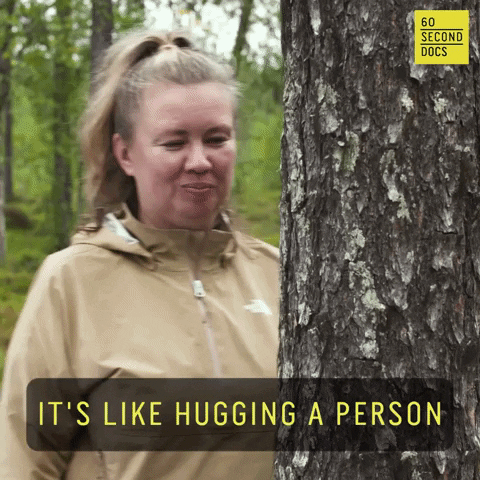 Trees Lol GIF by 60 Second Docs - Find & Share on GIPHY