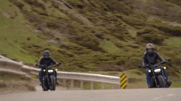 Ride GIF by Harley-Davidson