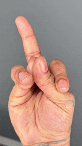 The Bird Middle Finger GIF