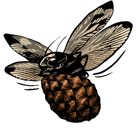 Flying Sticker