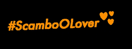 Scamboo GIF