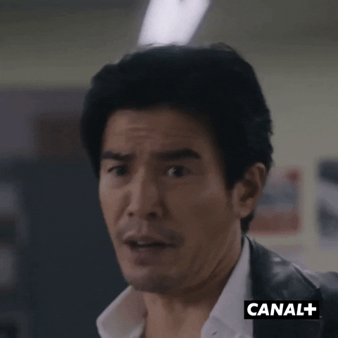 Tv Show Middle Finger GIF by CANAL+