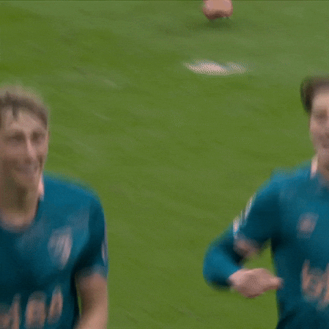 Happy Premier League Football GIF by AFC Bournemouth