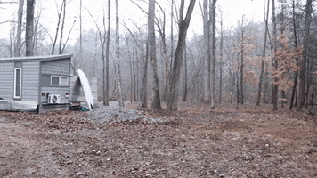 Trailer Woods GIF by JC Property Professionals