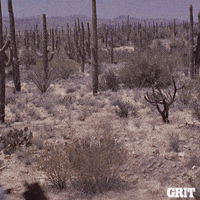 Pull Up Wild West GIF by GritTV