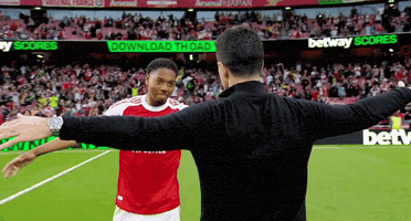 Mikel Arteta GIF by memes