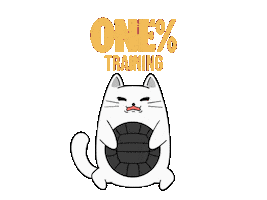 Hyrox Wall Ball Sticker by F45 Training Kemang