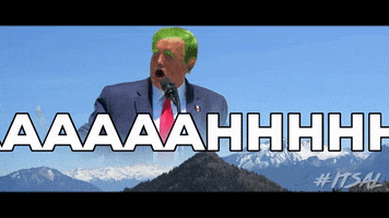 Meme GIF