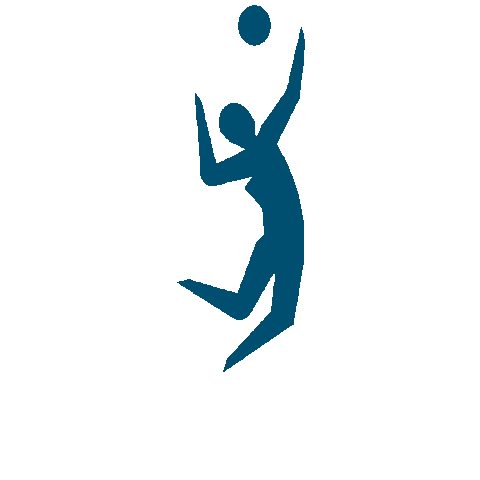 Volleyball Sticker by 2022canadagames