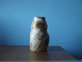 Spin GIF