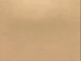 Well Done GIF