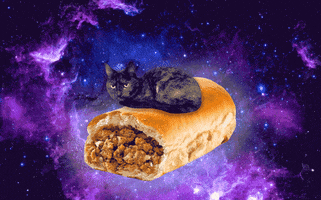 Space Sandwich GIF by Nebraska Humane Society