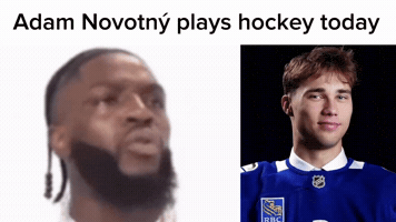 Hockey Nhl GIF