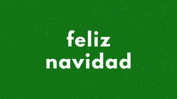 Feliz Navidad Espanol GIF by languages