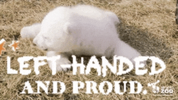 Proud Left Handed GIF by Not Just Trivia