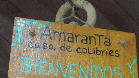 Animated GIF - Find & Share on GIPHY