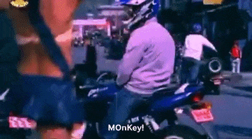Monkey Nepali GIF