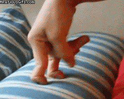 256px x 204px - Boner GIFs - Get the best GIF on GIPHY