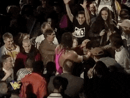 Bret Hart Wrestling GIF by WWE