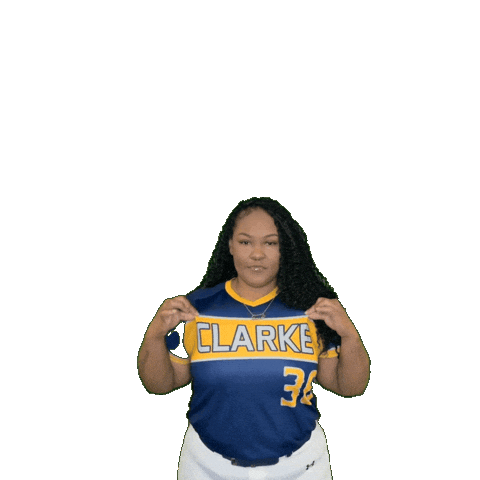 Clarke Softball Sticker by Clarke University