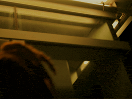 3Xs GIF