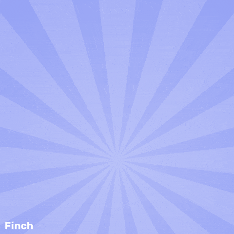 Happy Jump GIF by Finch Care