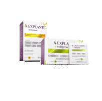 Explanté Oficial Sticker