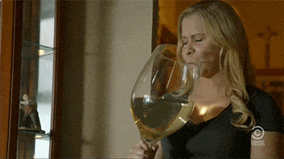 Giphy - Drunk Amy Schumer GIF