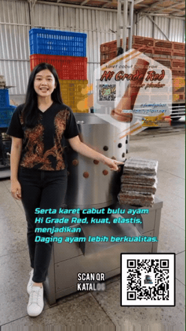 Indonesia GIF