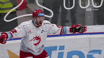 Ice Hockey Joy GIF by HC Oceláři Třinec
