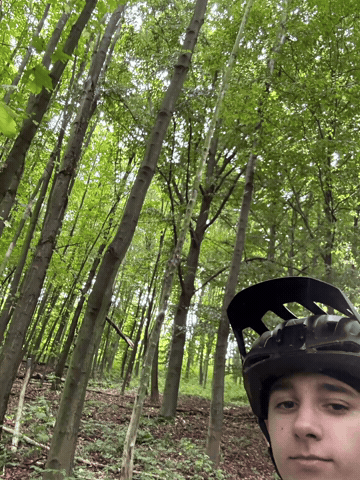 Tanyny GIF