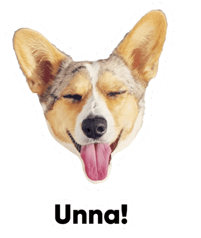 Corgi Unna Sticker by muotkava