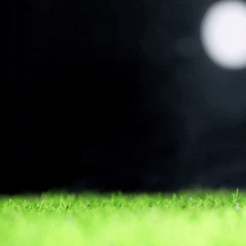 Football Soccer GIF by LVM Versicherung