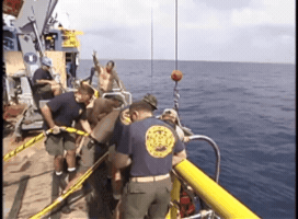 370-Mar-141 GIF