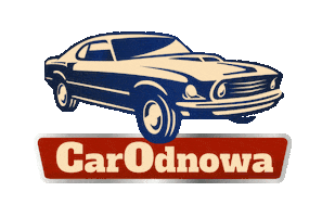CarOdnowa Sticker