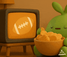 Halftime Show Football GIF