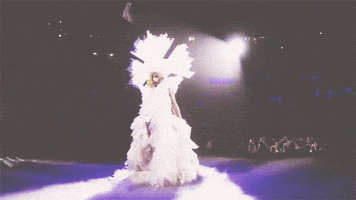 lady gaga GIF