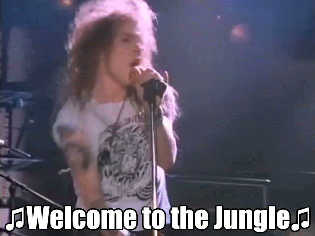 Image result for welcome to the jungle gif