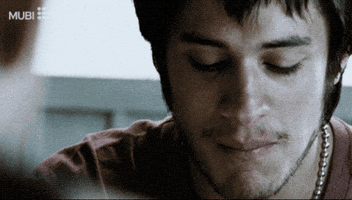 Amores Perros Film GIF by MUBI