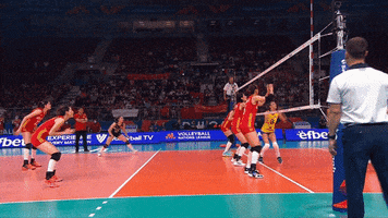China Wow GIF by Volleyball World