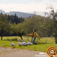 Oh No Running GIF by SWR Kindernetz