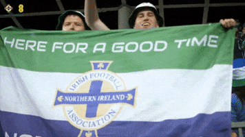 Flag Fans GIF by Northern Ireland