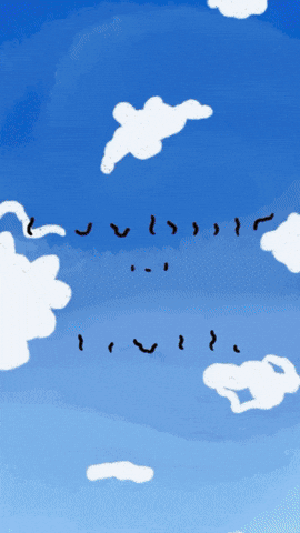 Animation GIF