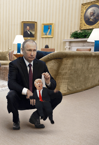 understand donald trump GIF