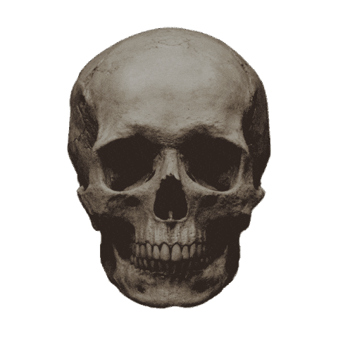 Ccm Sales Rally Sticker by CrossCountry Mortgage, LLC