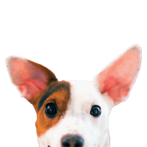 TULARE OUTLETS Sticker